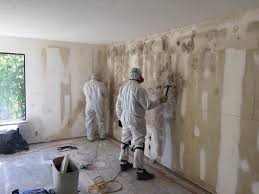 Best Real Estate Mold Inspection  in Queen City, TX